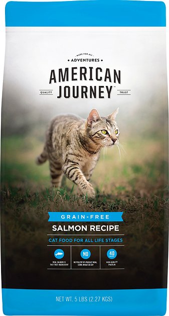 American journey dry shop cat food reviews