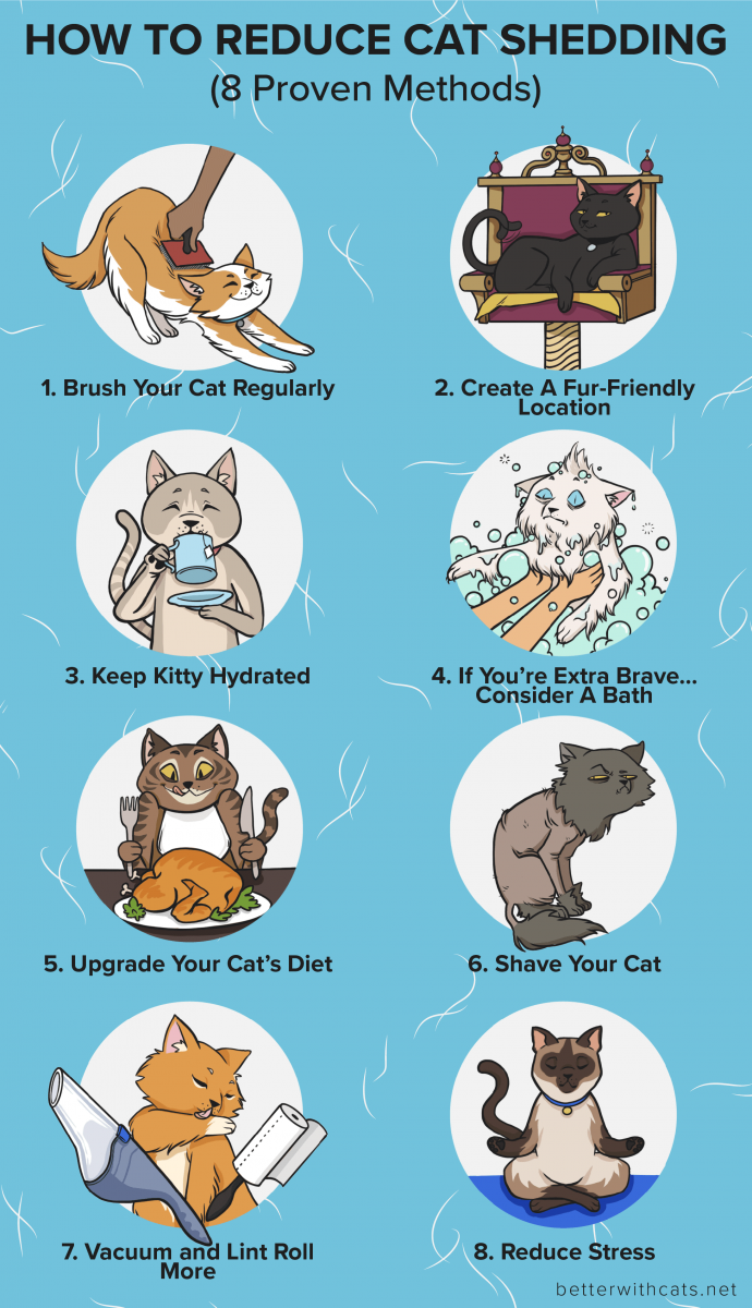 How To Reduce Cat Shedding (8 Methods That Actually Work)