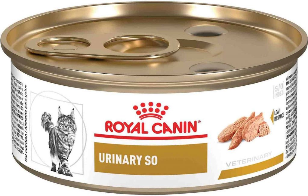 6 Best Low Ash Cat Foods (Ranked, Rated & Reviewed)