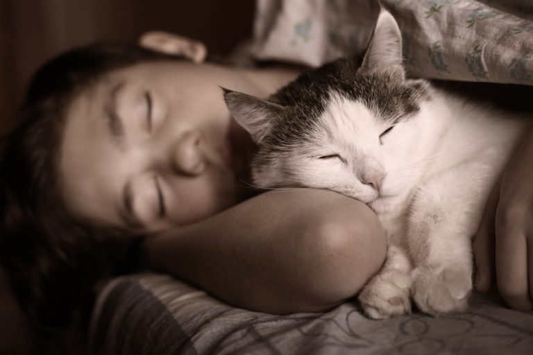 Do Cats Know When You re Sleeping Answered Explained 