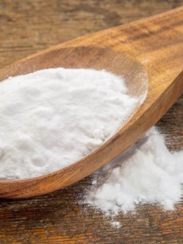 Is Baking Soda Safe For Cats? Stick With Us To Learn!