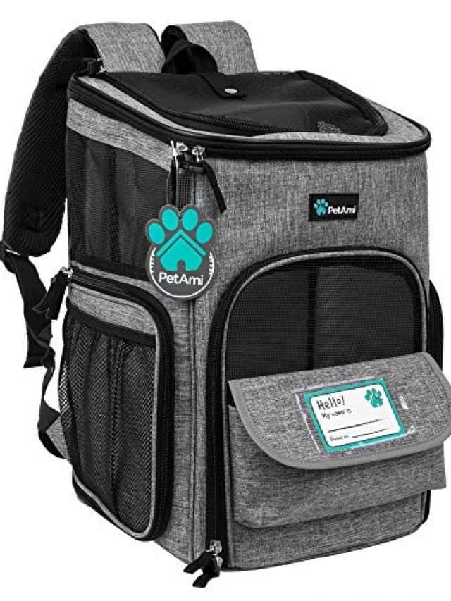 5 Best Cat Carriers For Maine Coons And Big Cats!