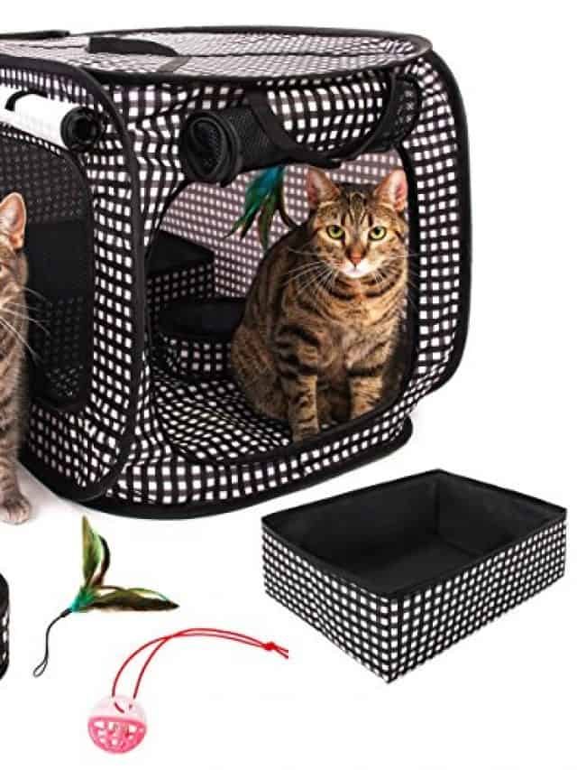 5 Best Cat Carriers For Car Travel!