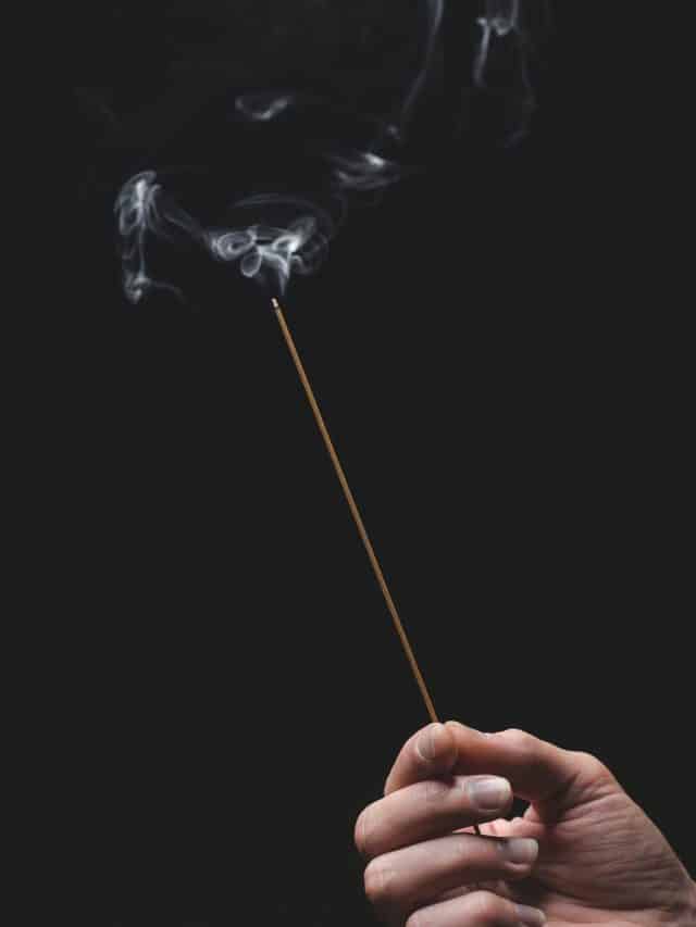 Is Incense Bad For Cats, And Are There Any Alternatives Cat Parents Can