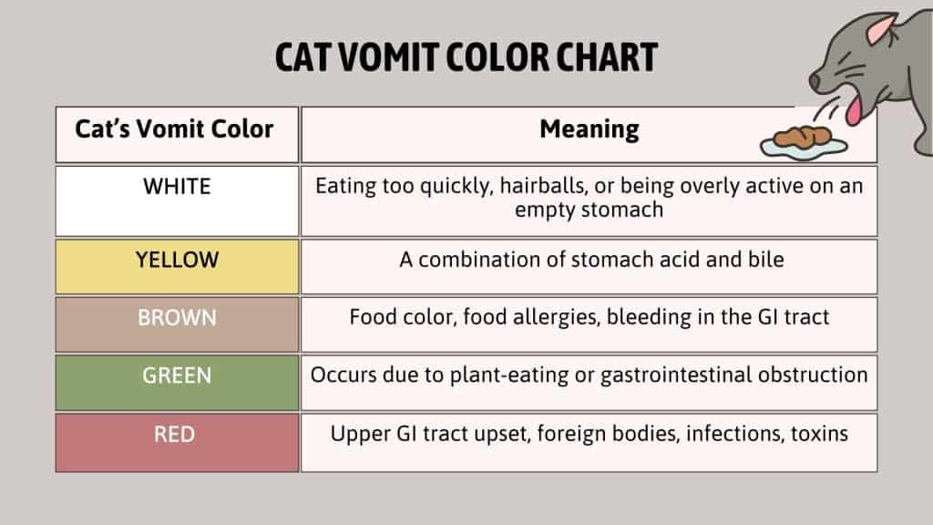 A Complete Guide To The Cat Vomit Color Chart - NBKomputer