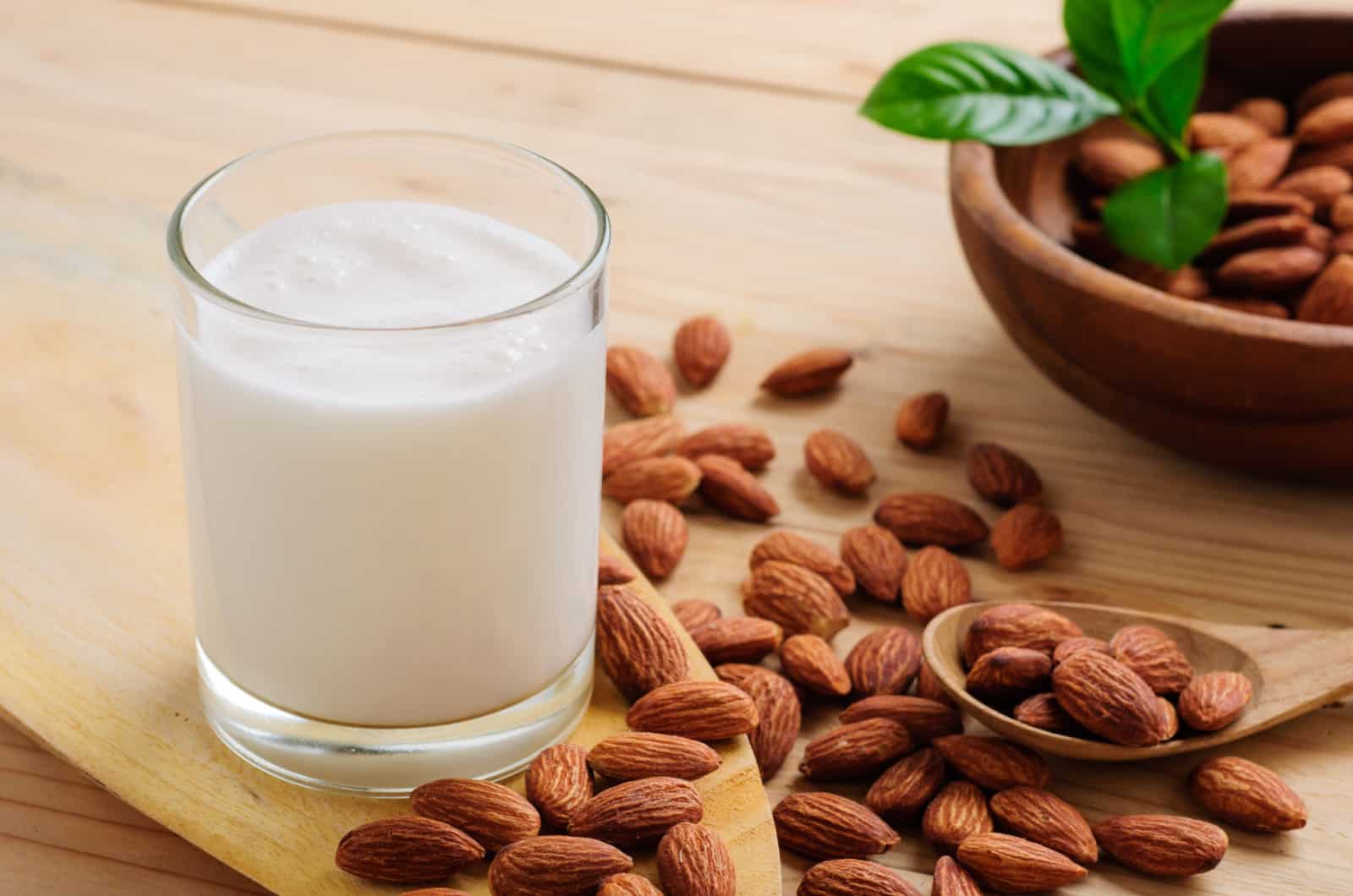 Is almond milk outlet poisonous to cats