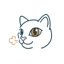 Cat breathing and eye symptoms icon