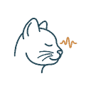 Cat symptoms guide icon